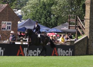 Alltech Continues Support for Showing Classes at Hickstead