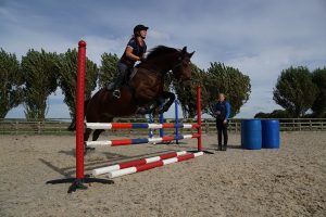 Clinics offer a great opportunity to get out and about with your horse and ride in a different environment